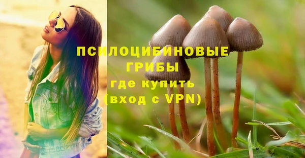 mdma Богданович