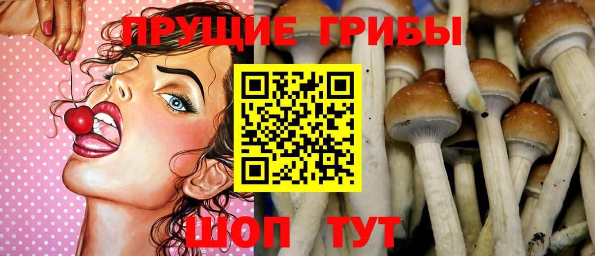Псилоцибиновые грибы прущие грибы Гудермес