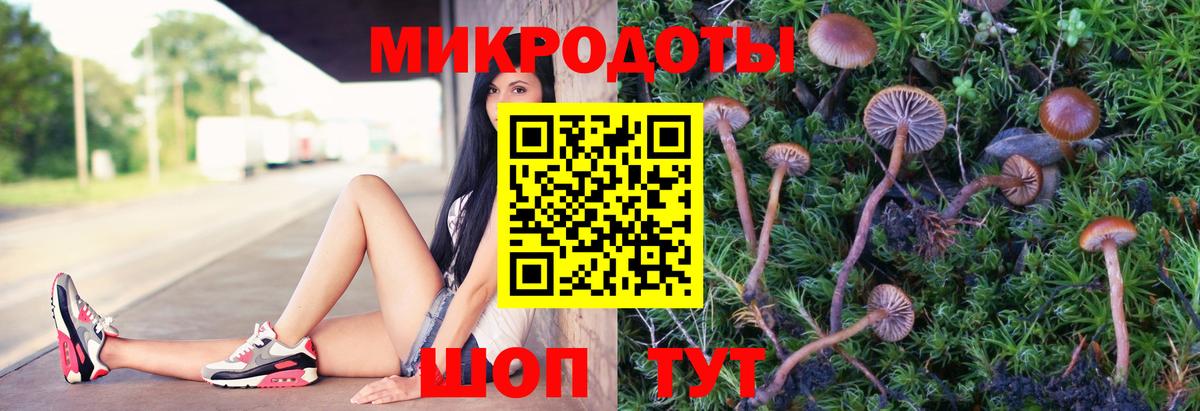 Псилоцибиновые грибы прущие грибы  Вход с VPN  Галлюциногенные грибы ЛСД  купить   Гудермес 